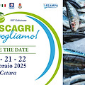 La pesca campana tra tradizione e futuro: a Cetara il forum "Pescagri che vogliamo"