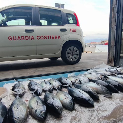 Pesca illegale, a Cetara la Guardia Costiera sequestra oltre 30 tonni rossi sotto misura